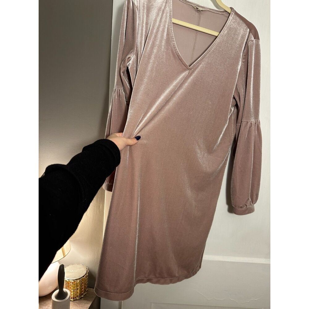 Madewell Light Pink Velvet Balloon Sleeve Dress